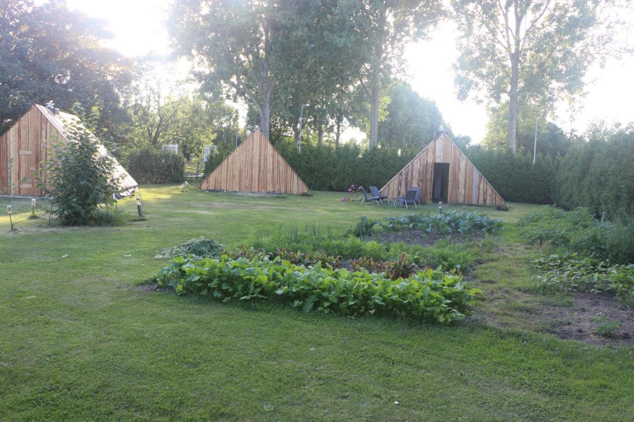 The Iceviking Village Zwaanshoek Εξωτερικό φωτογραφία